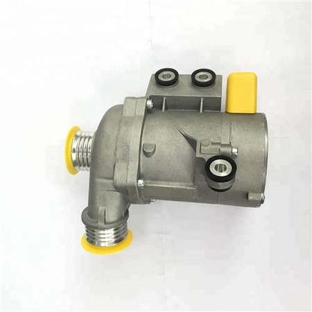 Prominient Brushless Motor DC Pump Pump Water for System Cooling Car